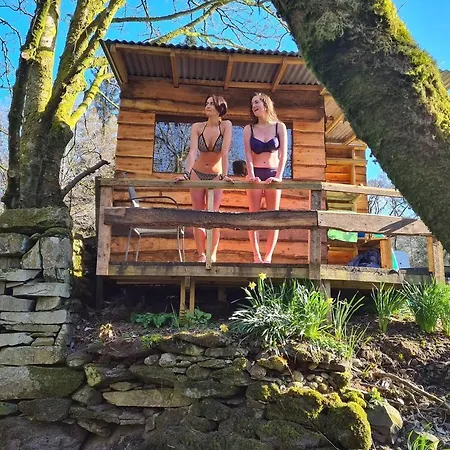 Camping Yurt 2 *