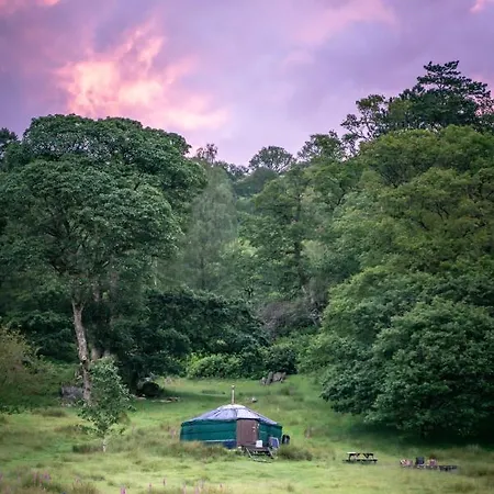 Yurt 2