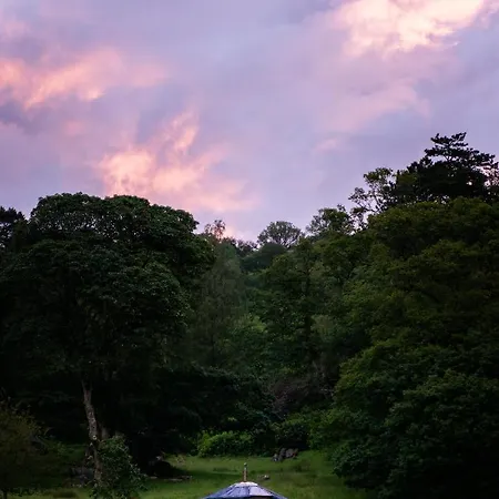 Yurt 2 Campsite