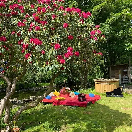 Yurt 2 Campsite